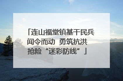 连山福堂镇基干民兵闻令而动  勇筑抗洪抢险“迷彩防线”