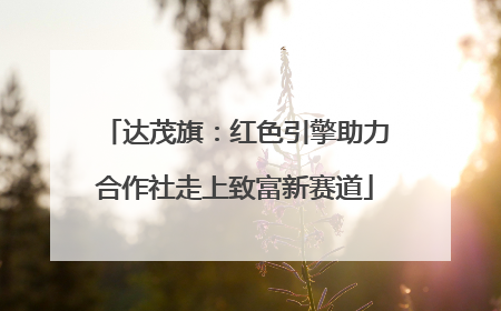 达茂旗：红色引擎助力合作社走上致富新赛道