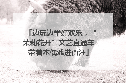 边玩边学好欢乐，“茉莉花开”文艺直通车带着木偶戏进贾汪