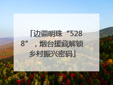 边疆明珠“5288”，烟台援藏解锁乡村振兴密码