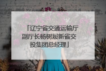 辽宁省交通运输厅副厅长杨树履新省交投集团总经理