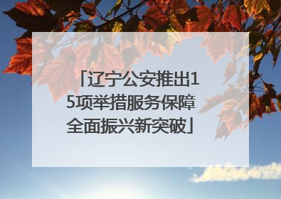 辽宁公安推出15项举措服务保障全面振兴新突破