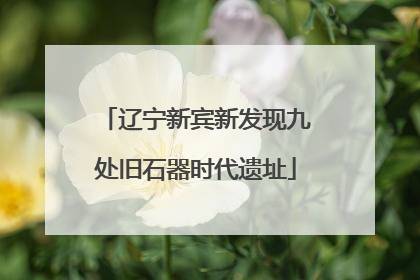 辽宁新宾新发现九处旧石器时代遗址
