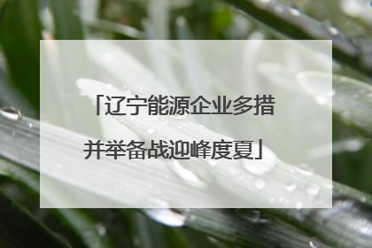 辽宁能源企业多措并举备战迎峰度夏