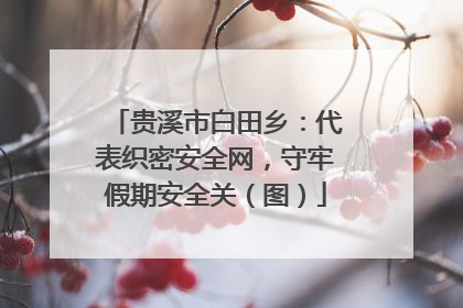 贵溪市白田乡：代表织密安全网，守牢假期安全关（图）