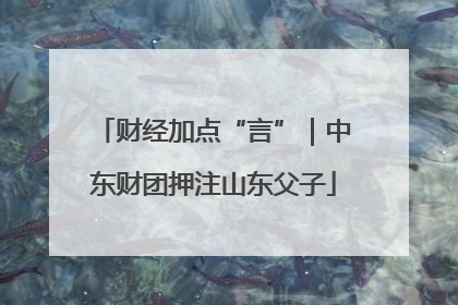 财经加点“言”｜中东财团押注山东父子