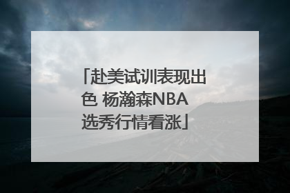 赴美试训表现出色 杨瀚森NBA选秀行情看涨