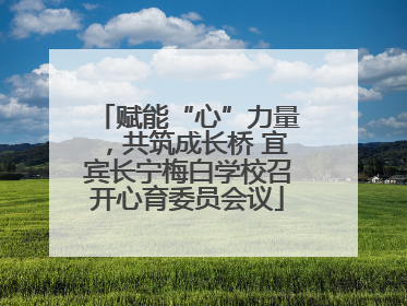赋能“心”力量，共筑成长桥 宜宾长宁梅白学校召开心育委员会议