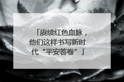 赓续红色血脉，他们这样书写新时代“平安答卷”