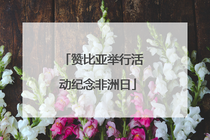 赞比亚举行活动纪念非洲日