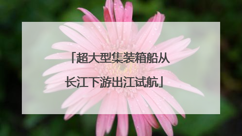 超大型集装箱船从长江下游出江试航