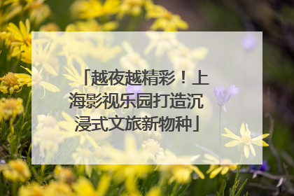 越夜越精彩！上海影视乐园打造沉浸式文旅新物种