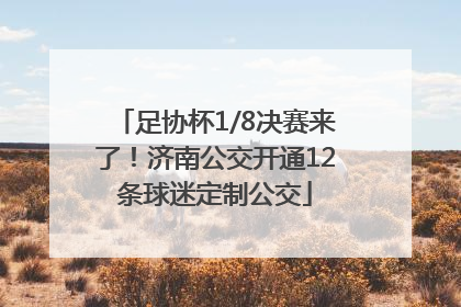 足协杯1/8决赛来了！济南公交开通12条球迷定制公交