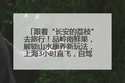 跟着“长安的荔枝”去旅行！品岭南鲜果，解锁山水康养新玩法，上海3小时直飞，自驾高速费优惠