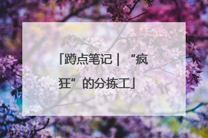 蹲点笔记｜“疯狂”的分拣工