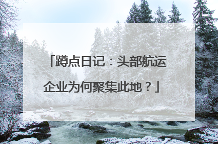 蹲点日记：头部航运企业为何聚集此地？