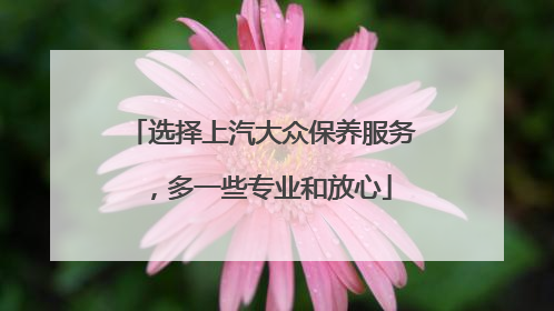 选择上汽大众保养服务，多一些专业和放心
