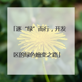 逐“绿”而行，开发区的绿色嬗变之路