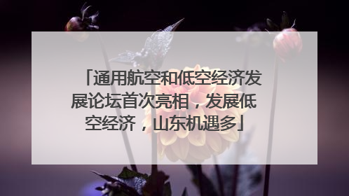 通用航空和低空经济发展论坛首次亮相，发展低空经济，山东机遇多
