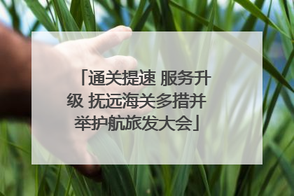 通关提速 服务升级 抚远海关多措并举护航旅发大会