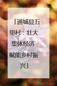 通城县五里村：壮大集体经济 赋能乡村振兴