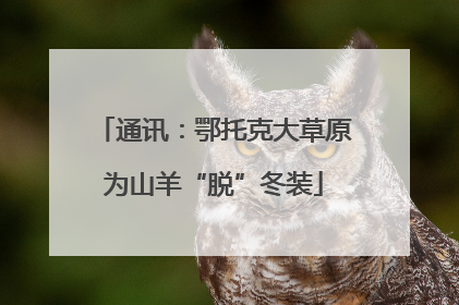 通讯：鄂托克大草原为山羊“脱”冬装