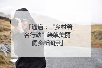 通道:“乡村著名行动”绘就美丽侗乡新图景