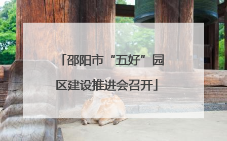 邵阳市“五好”园区建设推进会召开