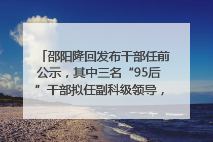 邵阳隆回发布干部任前公示，其中三名“95后”干部拟任副科级领导，均系硕士选调生