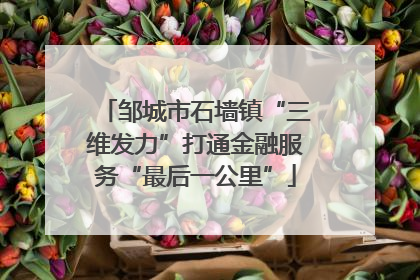 邹城市石墙镇“三维发力”打通金融服务“最后一公里”
