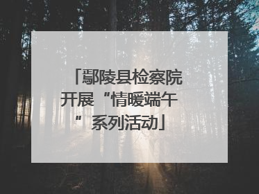 鄢陵县检察院开展“情暖端午”系列活动