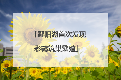 鄱阳湖首次发现彩鹮筑巢繁殖