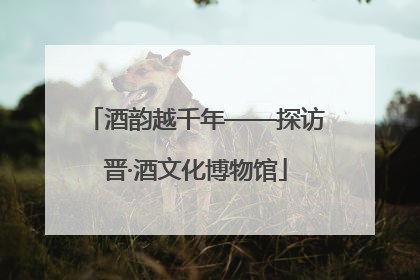 酒韵越千年——探访晋·酒文化博物馆