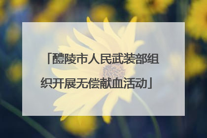 醴陵市人民武装部组织开展无偿献血活动