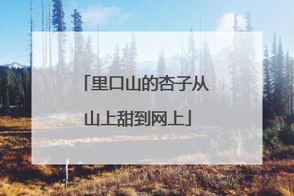里口山的杏子从山上甜到网上