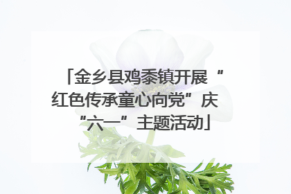 金乡县鸡黍镇开展“红色传承童心向党”庆“六一”主题活动