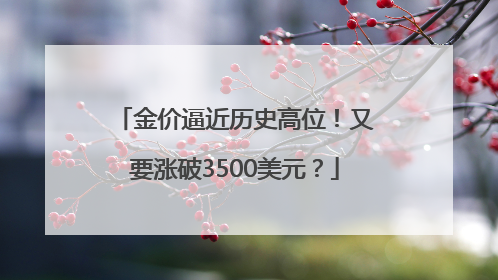金价逼近历史高位！又要涨破3500美元？