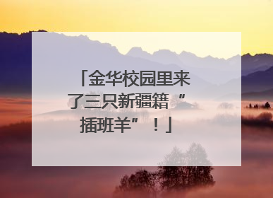 金华校园里来了三只新疆籍“插班羊”！
