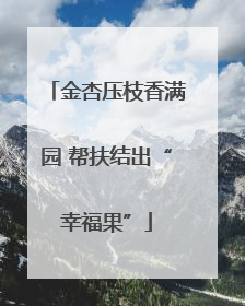 金杏压枝香满园 帮扶结出“幸福果”