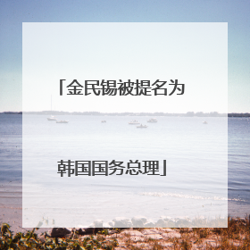 金民锡被提名为韩国国务总理