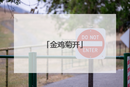 金鸡菊开