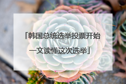 韩国总统选举投票开始 一文读懂这次选举