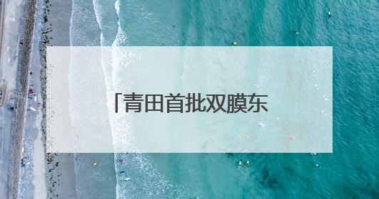 青田首批双膜东魁杨梅迎来采摘