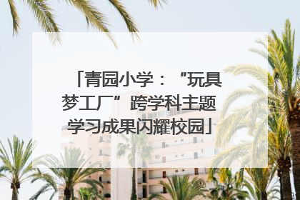 青园小学：“玩具梦工厂”跨学科主题学习成果闪耀校园