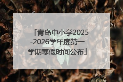 青岛中小学2025-2026学年度第一学期寒假时间公布
