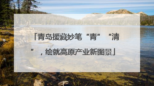 青岛援藏妙笔“青”“清”，绘就高原产业新图景