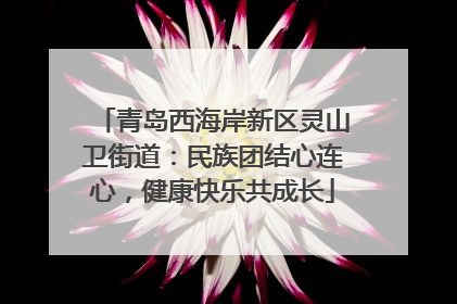青岛西海岸新区灵山卫街道：民族团结心连心，健康快乐共成长