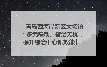 青岛西海岸新区大场镇：多元联动、智治无忧，提升综治中心新效能