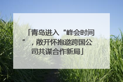 青岛进入“峰会时间”，敞开怀抱邀跨国公司共谋合作新局