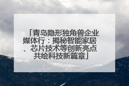青岛隐形独角兽企业媒体行：揭秘智能家居、芯片技术等创新亮点 共绘科技新篇章